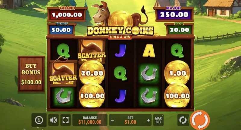 Donkey Coins Hold & Win - main screen with reels