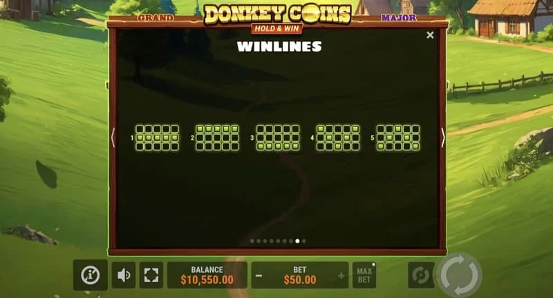 Donkey Coins Hold & Win - big win in special mode